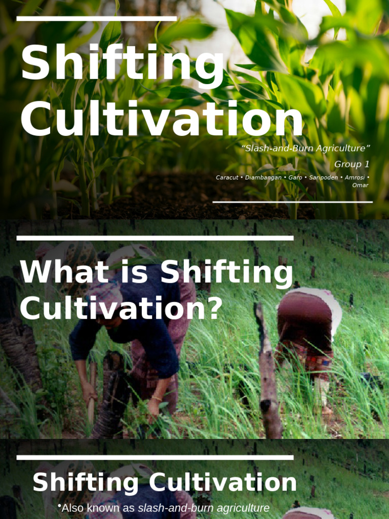 Understanding Shifting Cultivation Methods | PDF