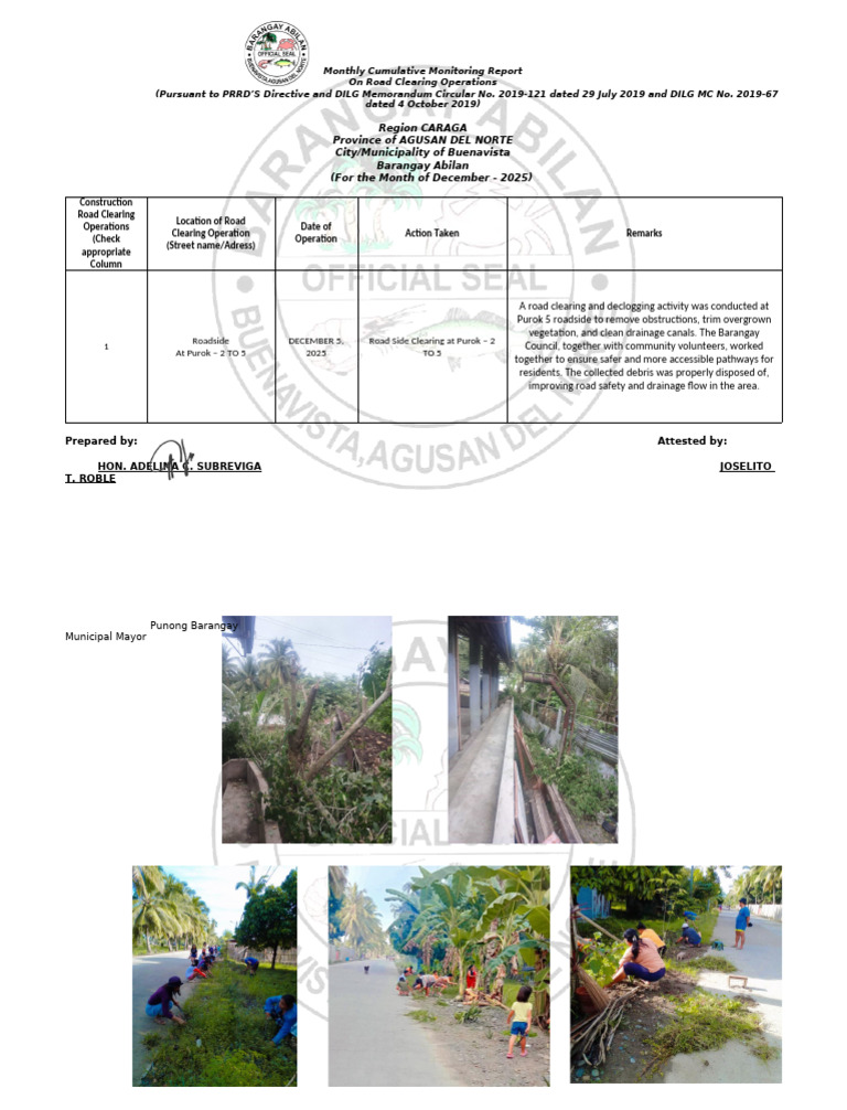 December 2025 Road Clearing Report | PDF