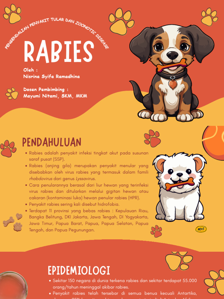 Panduan Lengkap tentang Rabies dan Penanganannya | PDF