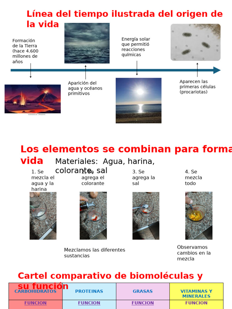 Línea del Tiempo del Origen de la Vida | PDF | Organismos | Agua