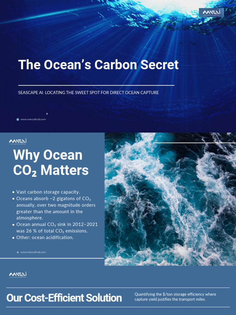 Ocean Carbon Capture Solutions Explained | PDF