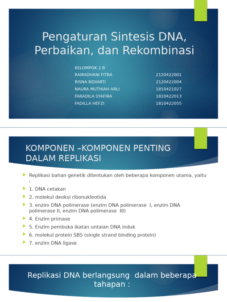 I - Pengaturan Sintesis DNA Perbaikan Dan Rekombinasi | PDF