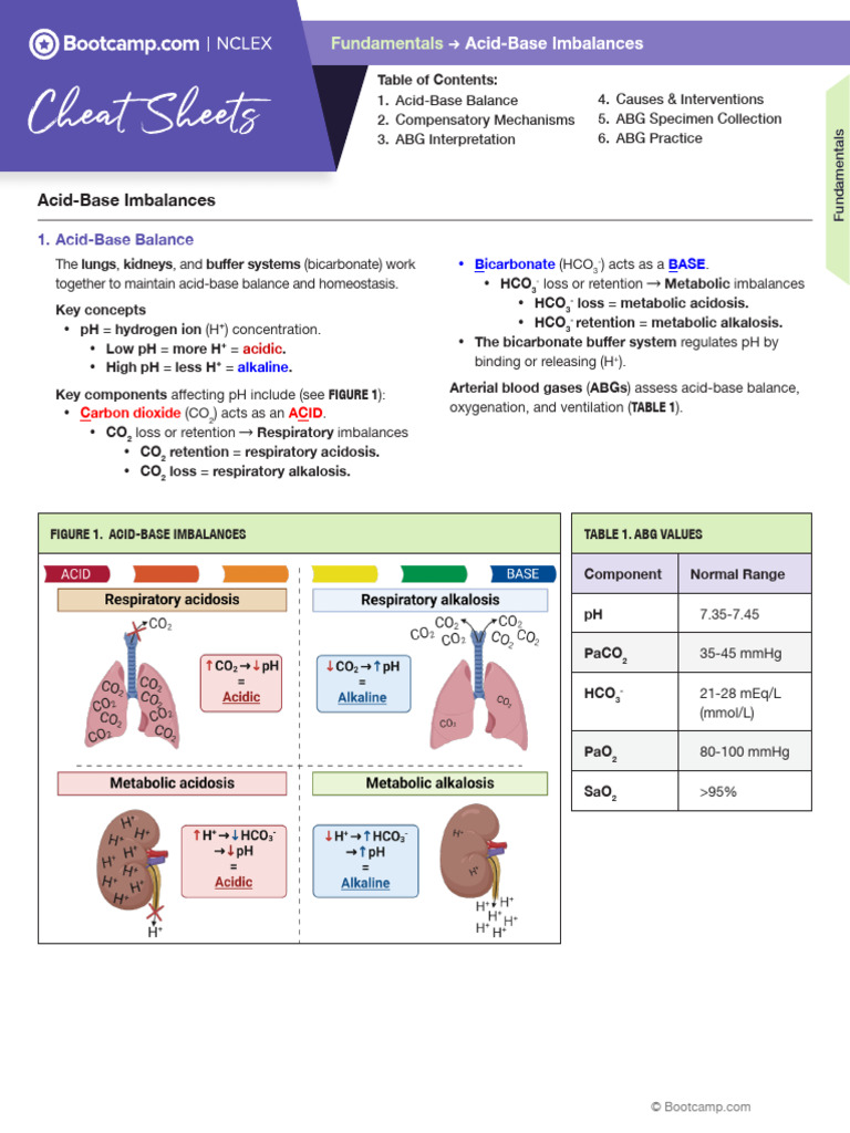 Understanding Acid-Base Imbalances | PDF | Bicarbonate | Intensive Care ...