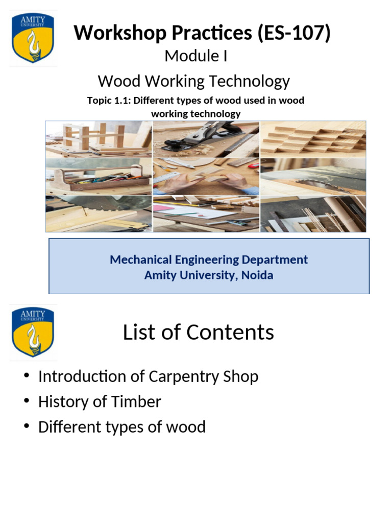 Wood Types in Carpentry Workshop | PDF