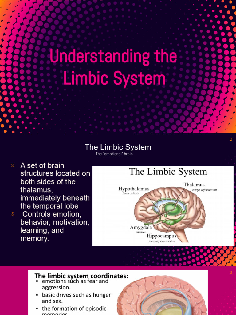 Limbic System | PDF | Limbic System | Fear