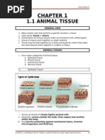 6 bio200 chapter 11