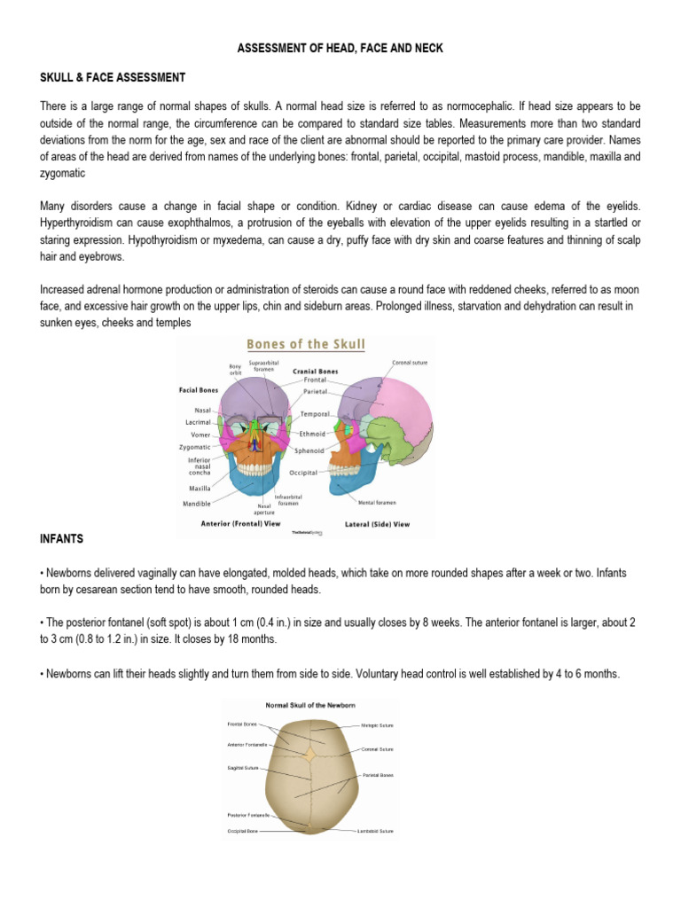 Head, Face, and Neck Assessment Guide | PDF | Neck | Human Anatomy