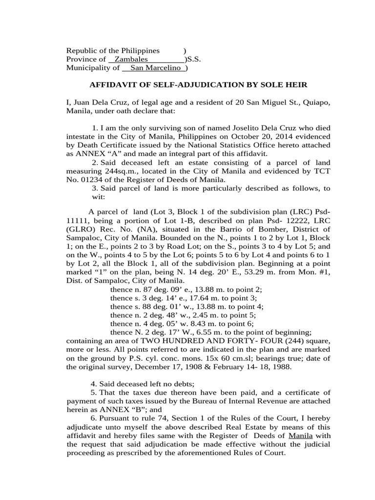 Affidavit of Self-Adjudication Philippines | PDF | Civil Law (Common ...