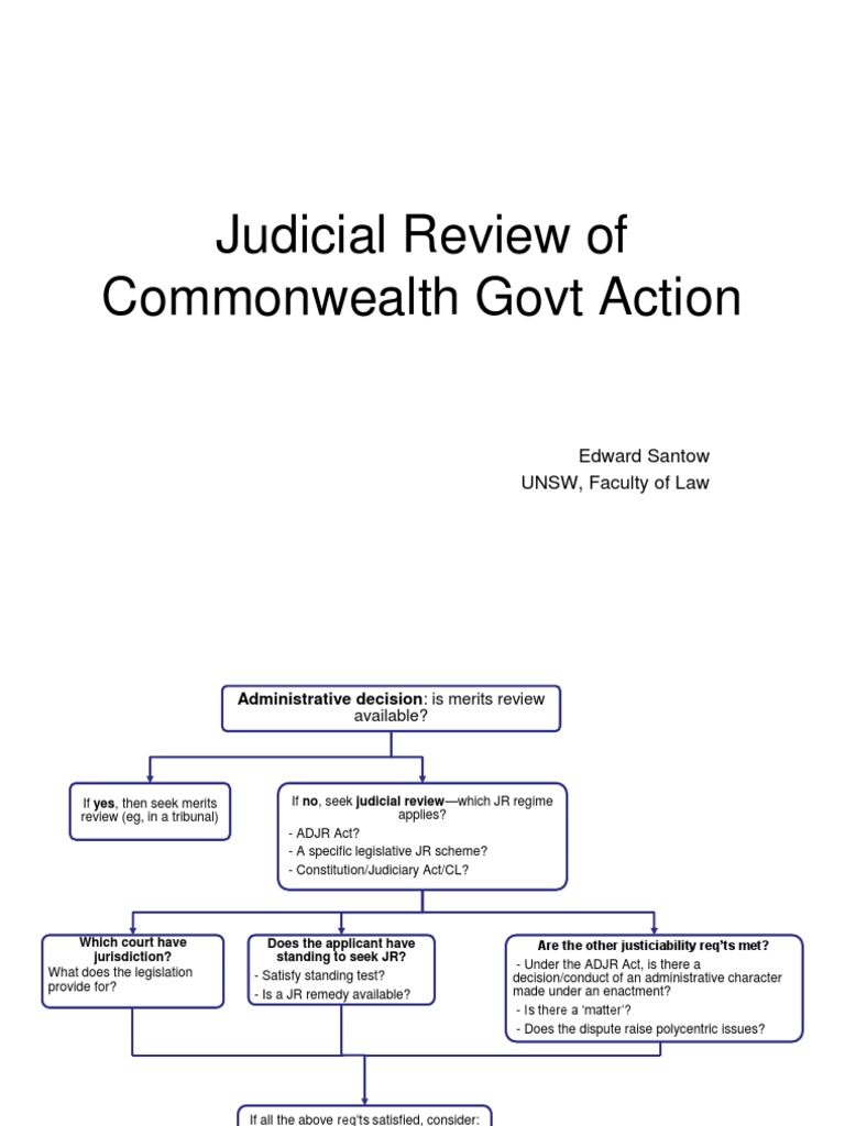 Judicial Review Flowchart(1)