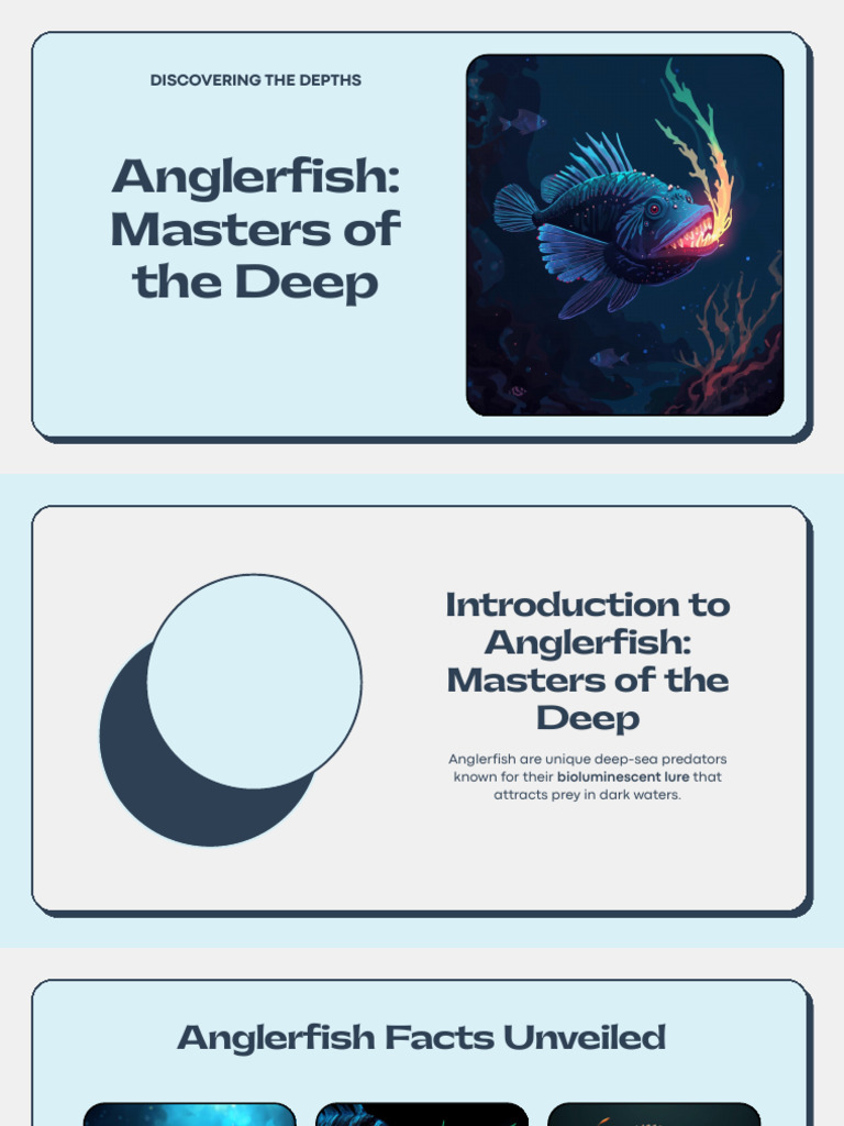 Anglerfish: Deep-Sea Predators Unveiled | PDF | Predation | Zoology