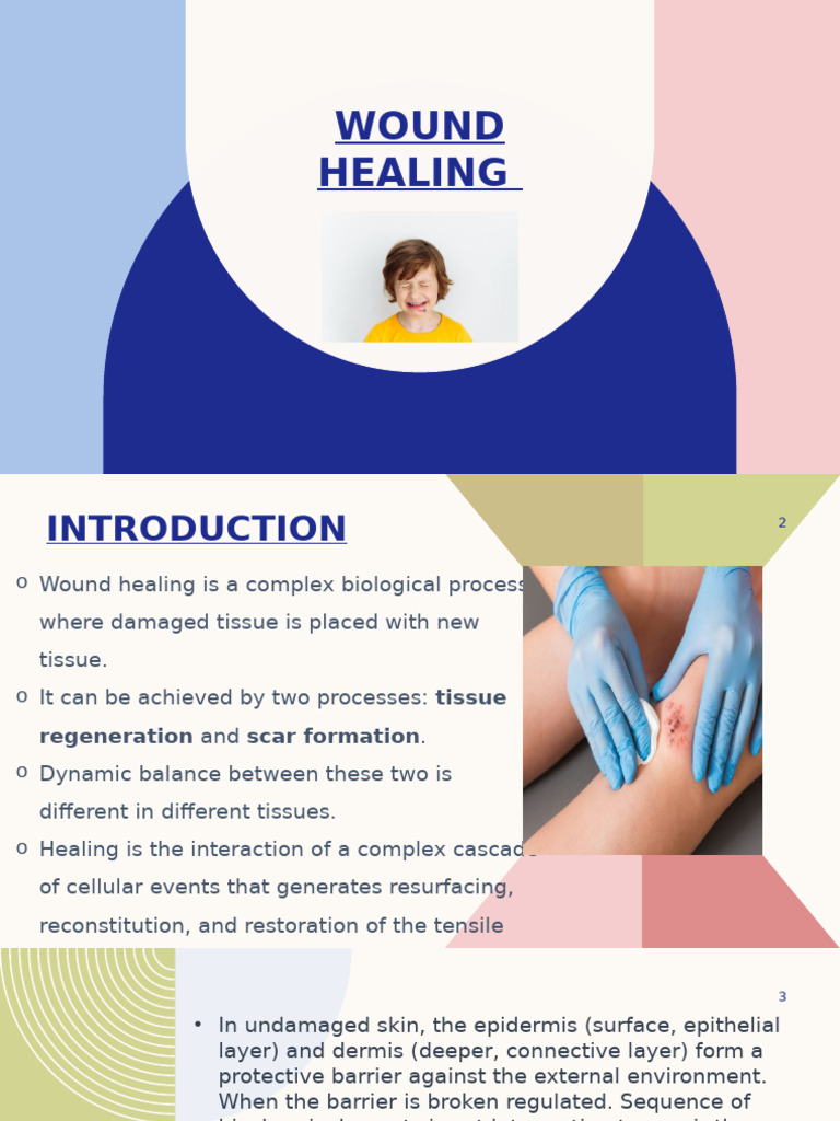 Wound Healing: Phases and Processes | PDF | Wound Healing | Healing