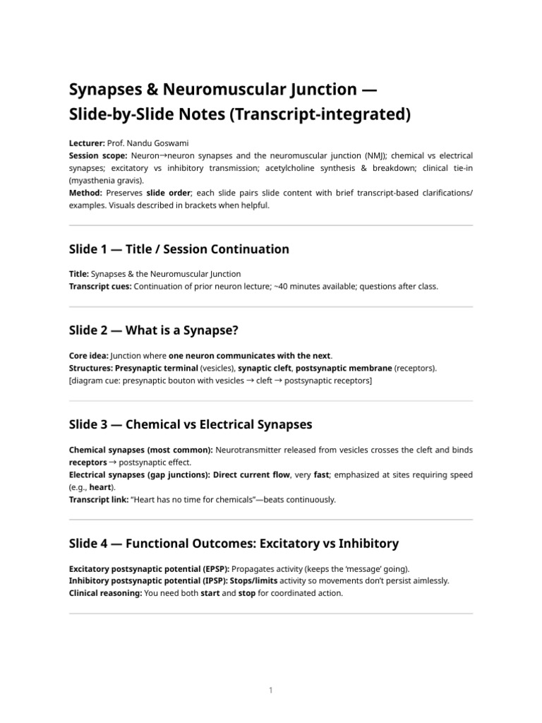Synapses and Neuromuscular Junction Overview | PDF | Chemical Synapse ...