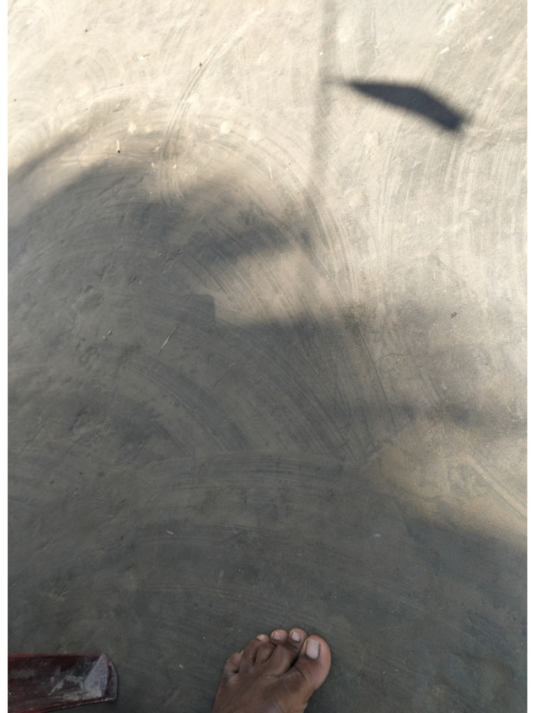 sun test | PDF