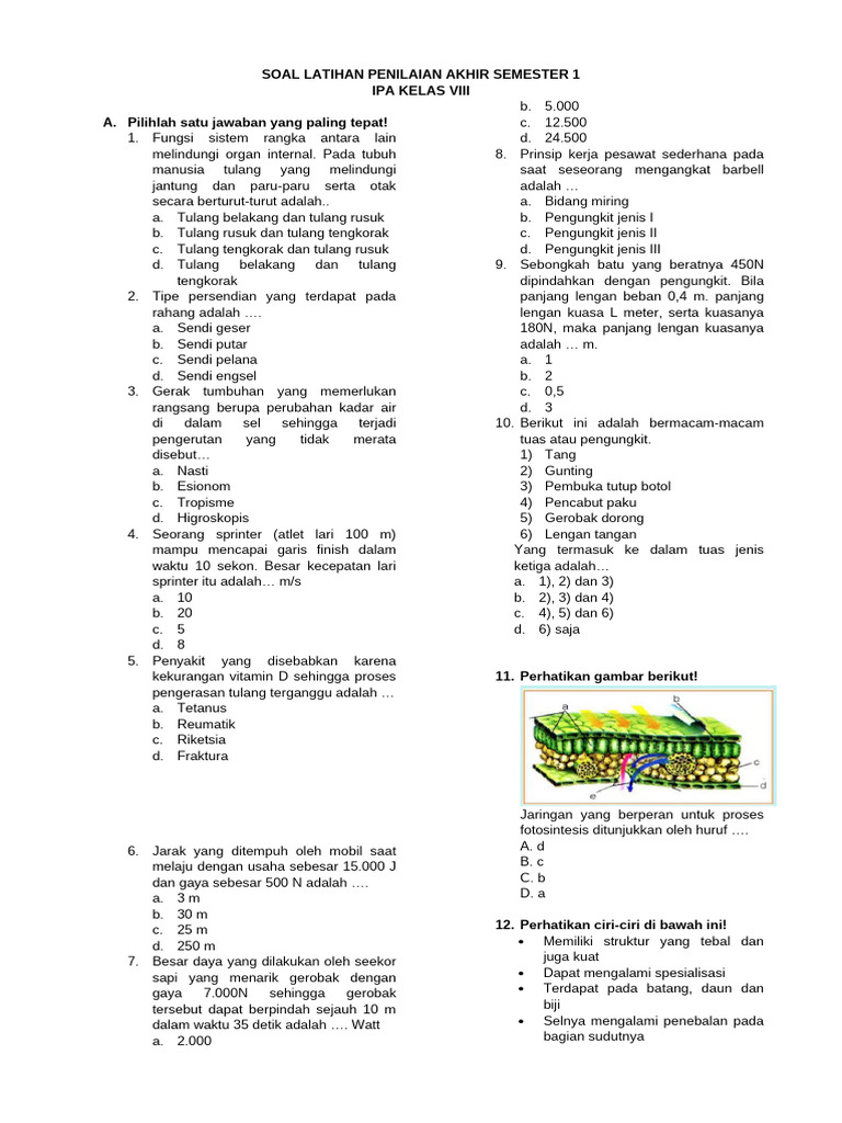 8 Smp-ipa(21) Pas Ipas Kls 8 | PDF
