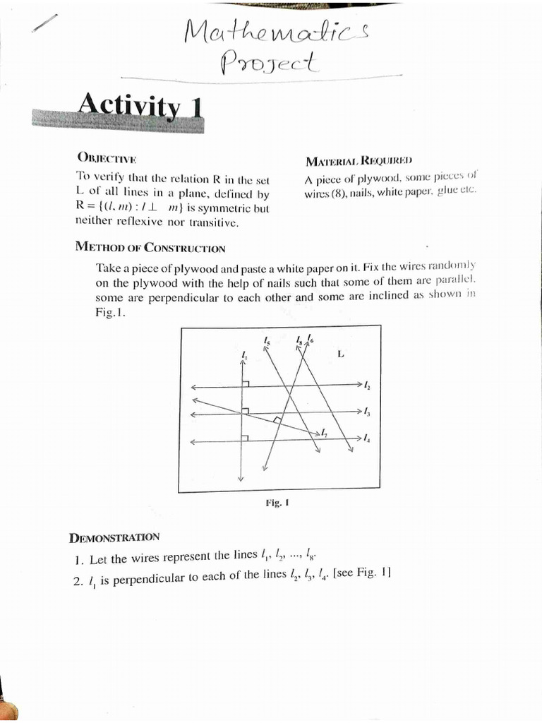 Mathematics Project | PDF