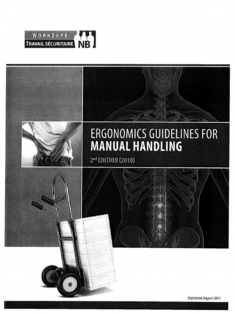 Manual Lifting | PDF