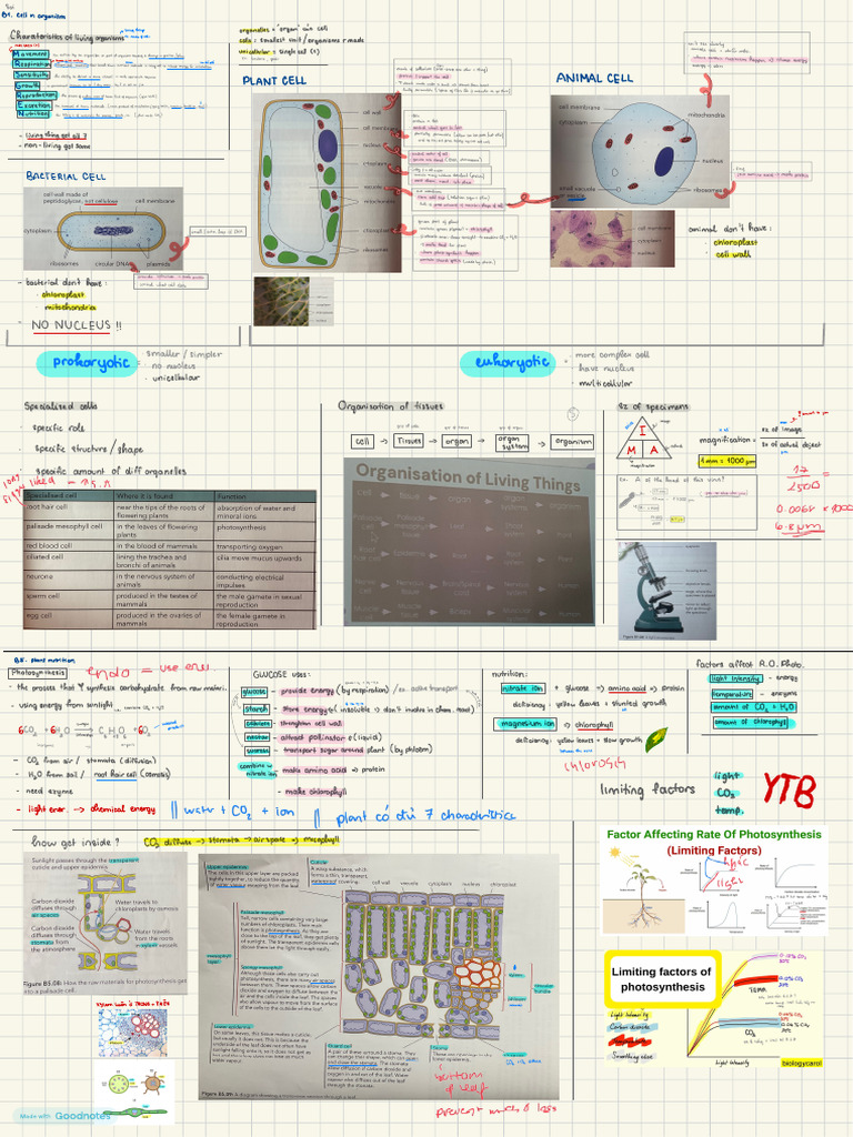 bio 2 | PDF | Cell (Biology) | Biochemistry
