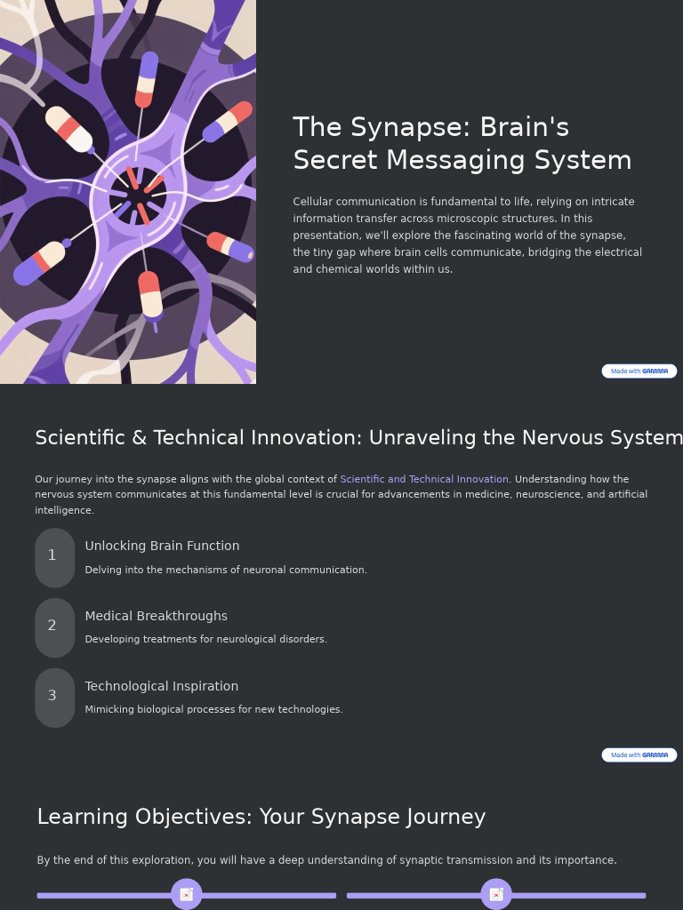 The Synapse Brains Secret Messaging System | PDF | Chemical Synapse ...