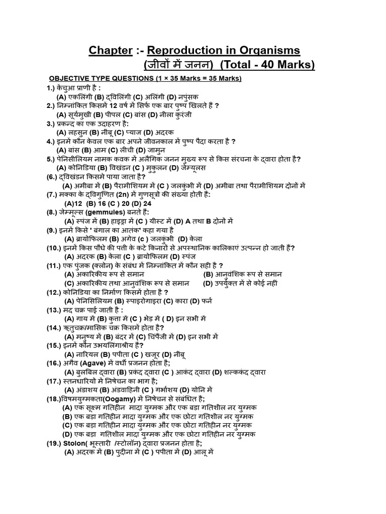 1st Chapter Test | PDF