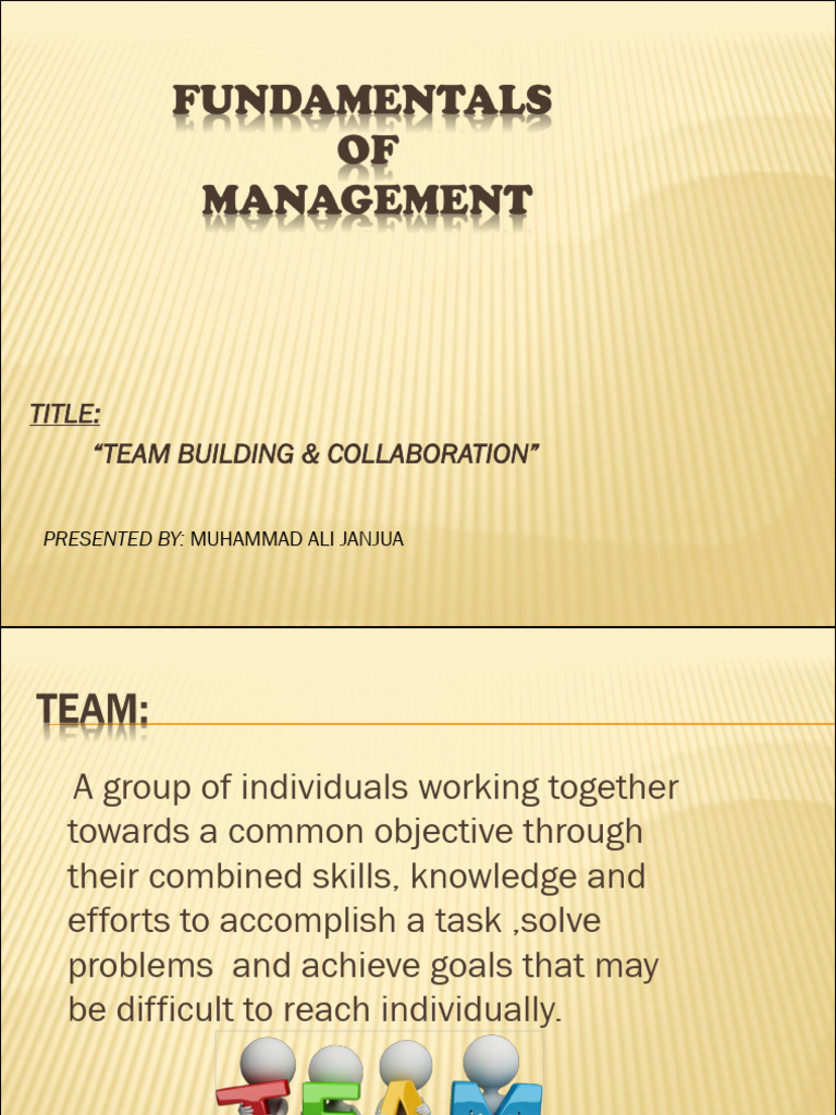 Team Building and Collaboration Guide | PDF