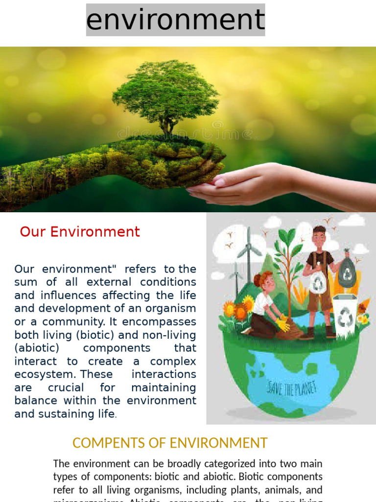 Understanding Environmental Components | PDF | Natural Environment ...
