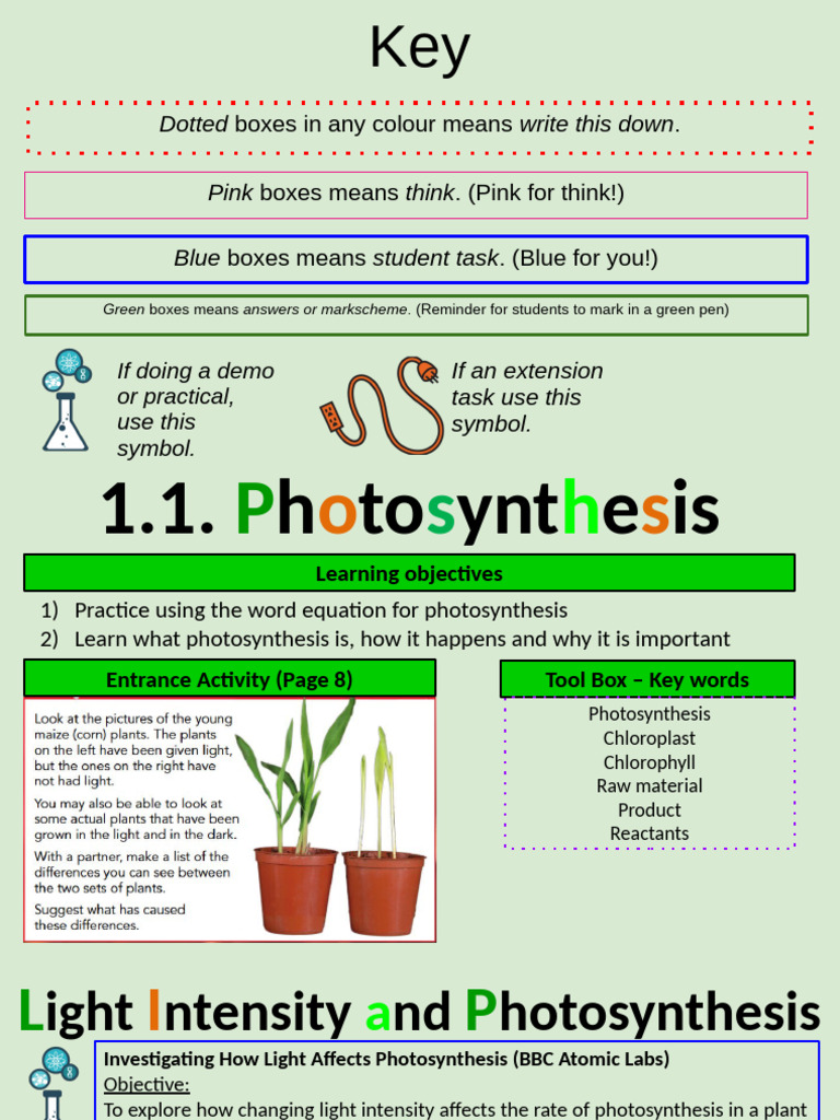 Understanding Photosynthesis Process | PDF | Photosynthesis | Plants