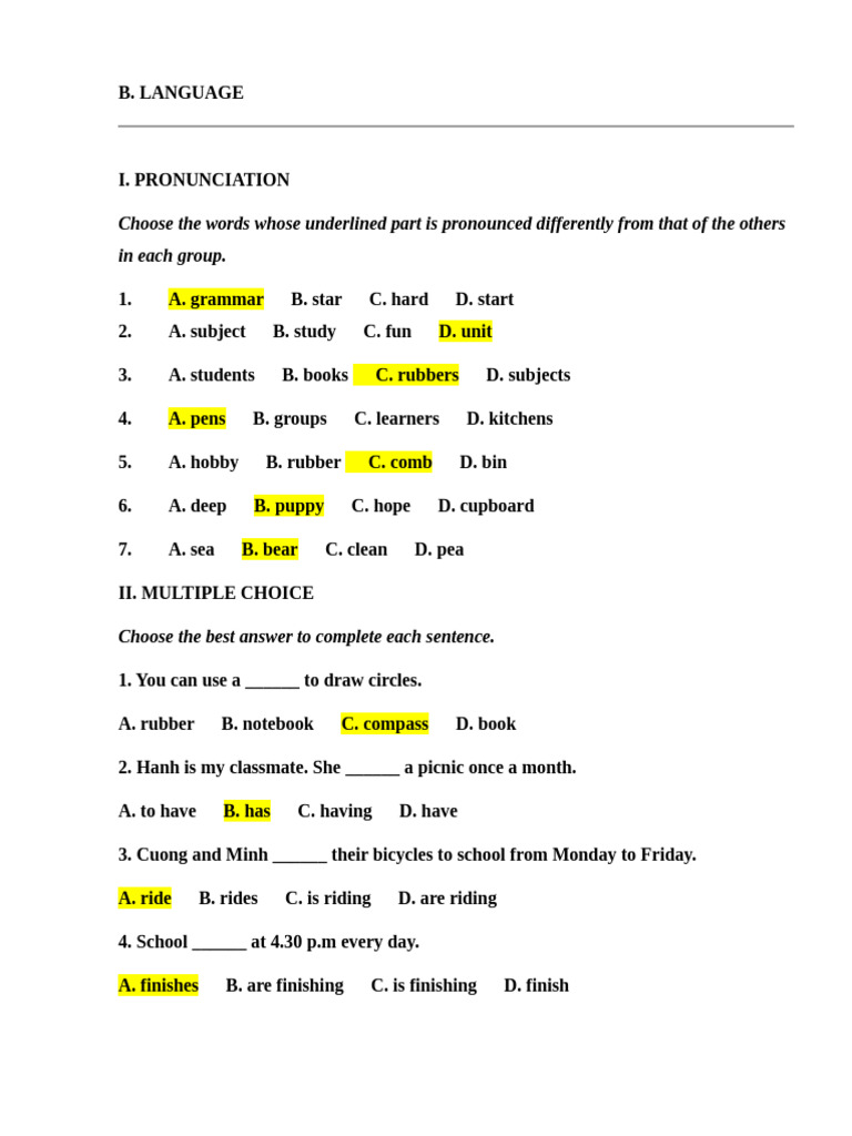 Language Practice: Pronunciation & Grammar | PDF