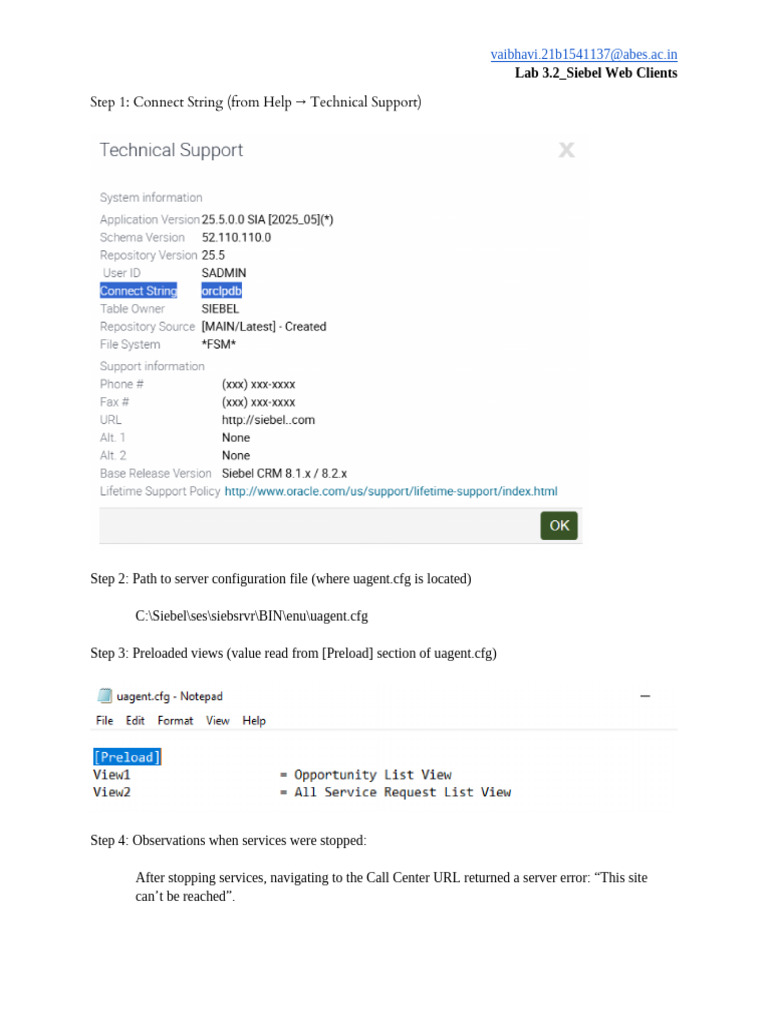 Siebel Web Client Configuration Guide | PDF