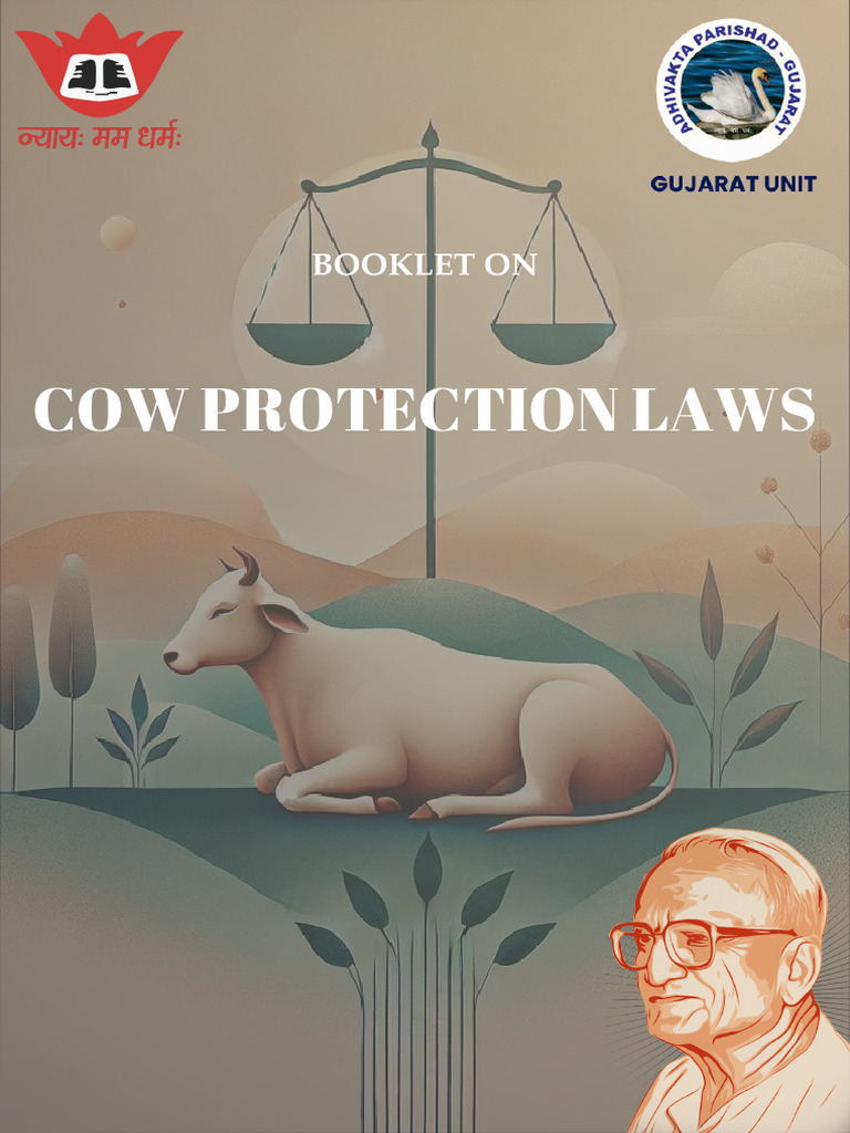 India's Cow Protection Laws Explained | PDF | Slaughterhouse ...
