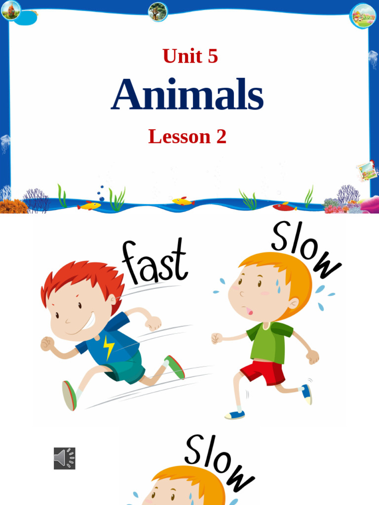 Fast - Slow | PDF