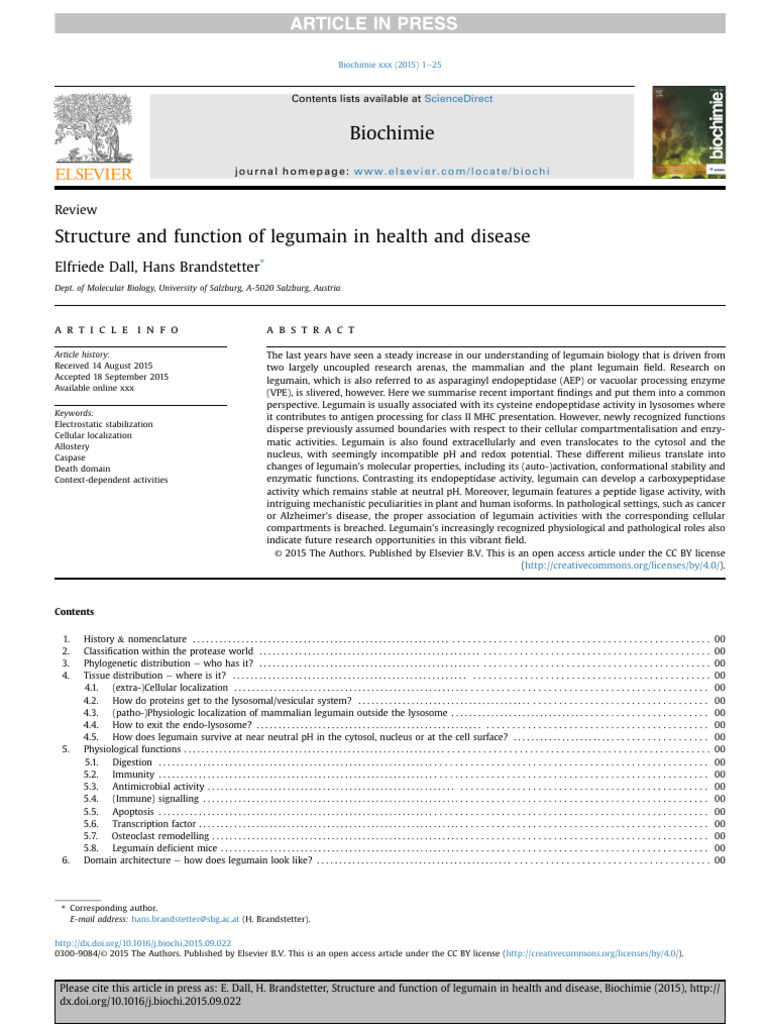 Legumain: Structure, Function, and Roles | PDF | Protein Targeting ...