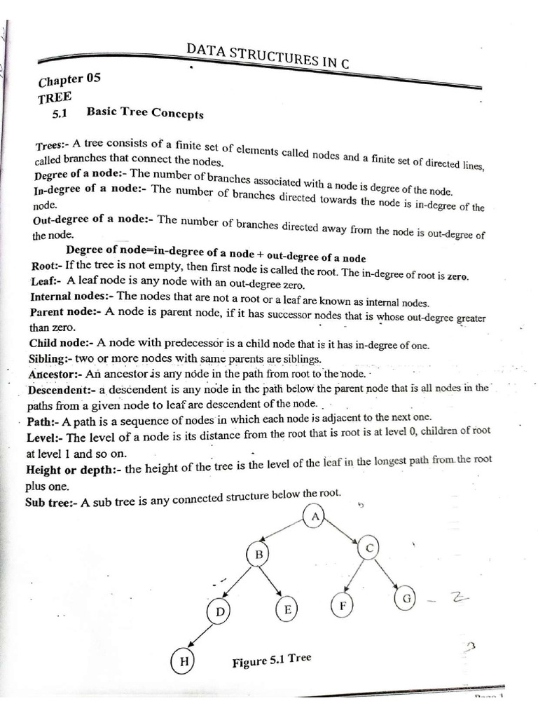 Tree | PDF