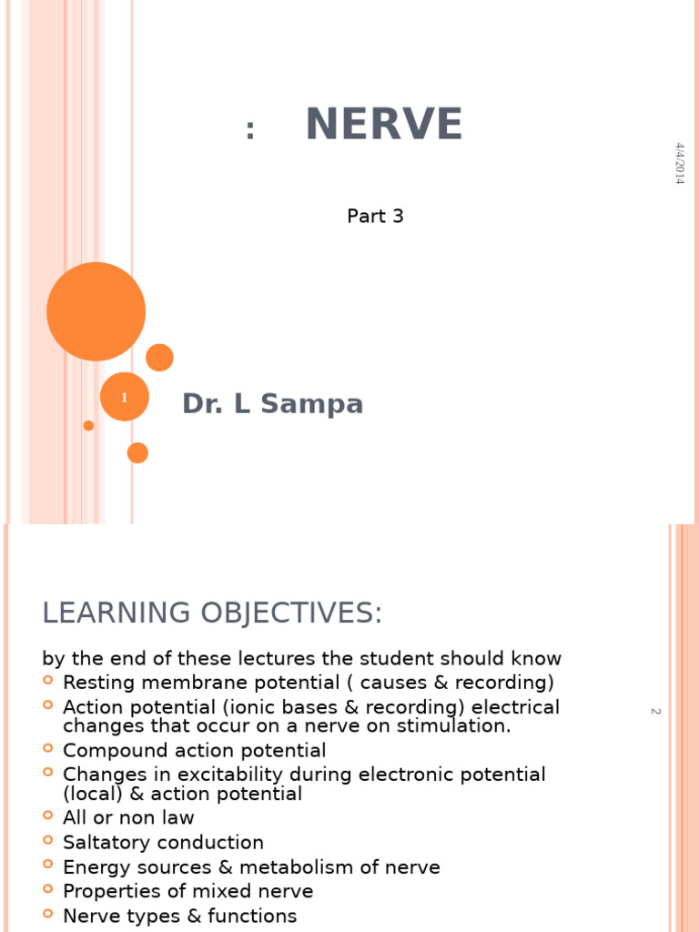 Nerve Part 3 | PDF | Action Potential | Axon