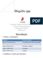 Shigella SPP