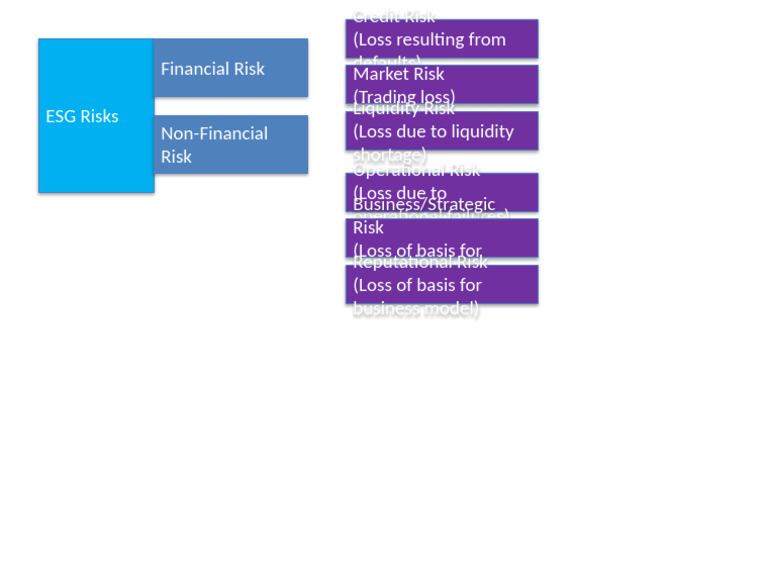 ESG Risks Custom Hierarchical | PDF