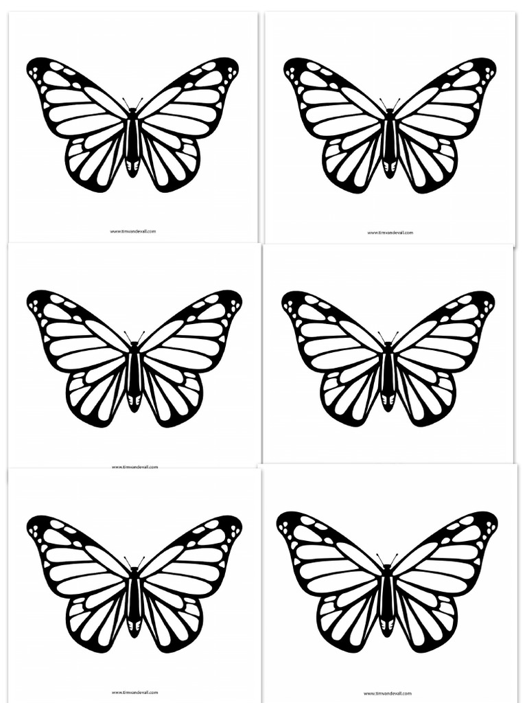 Butterfly | PDF