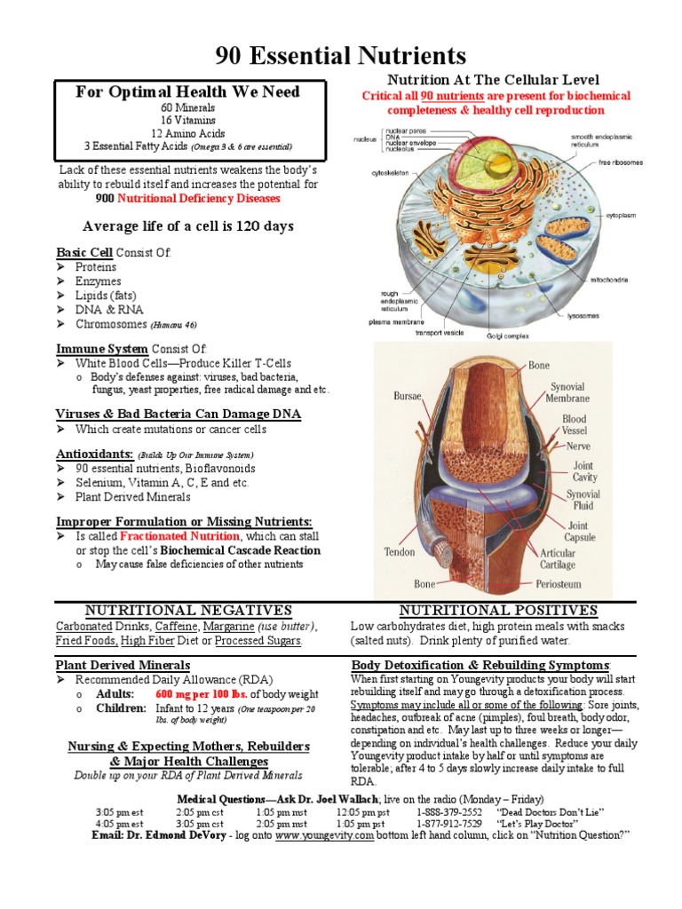 90 Essential Nutrients Overview | PDF | Nutrition | Diet & Nutrition