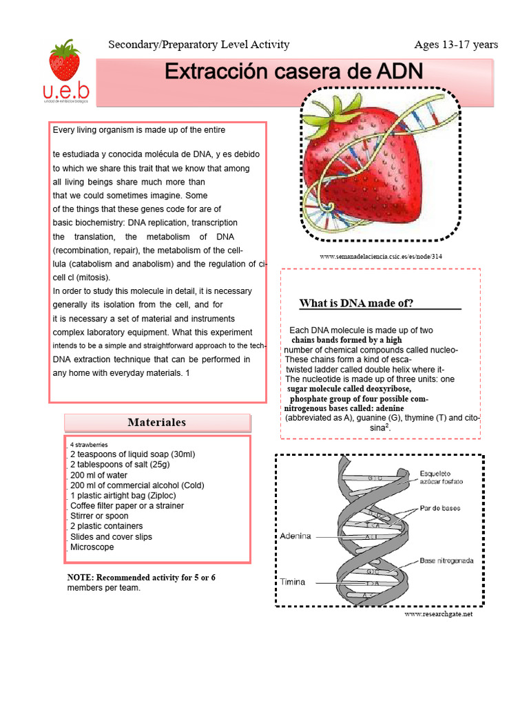 DNA Extraction From Strawberry | PDF | Dna | Health Sciences