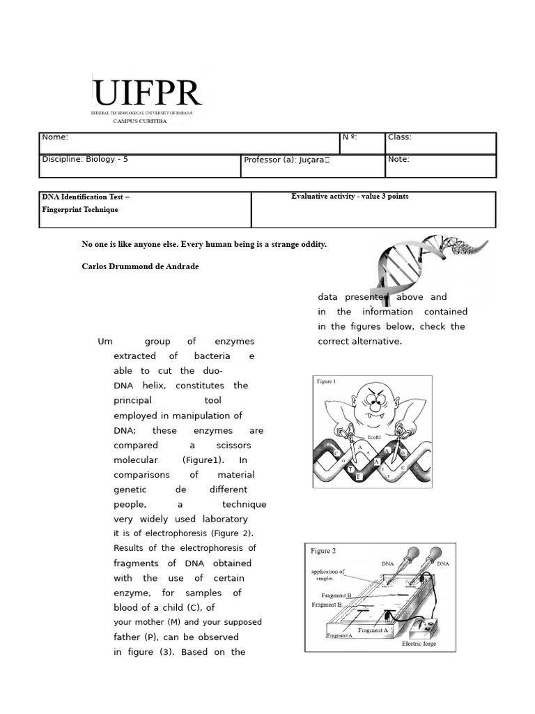 DNA Fingerprinting and Paternity Testing | PDF | Dna | Dna Profiling