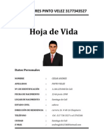 Hoja de Vida Cesar Andres Pinto 3177343527