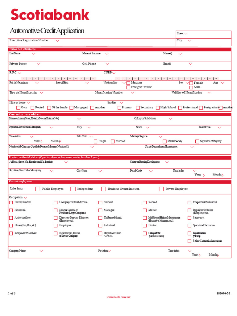 Automotive Credit Application Form | PDF | Credit History | Kinship