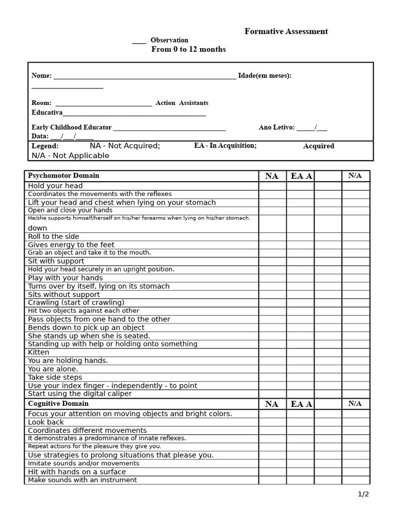 Infant Development Assessment Form | PDF | Attention | Cognitive Science