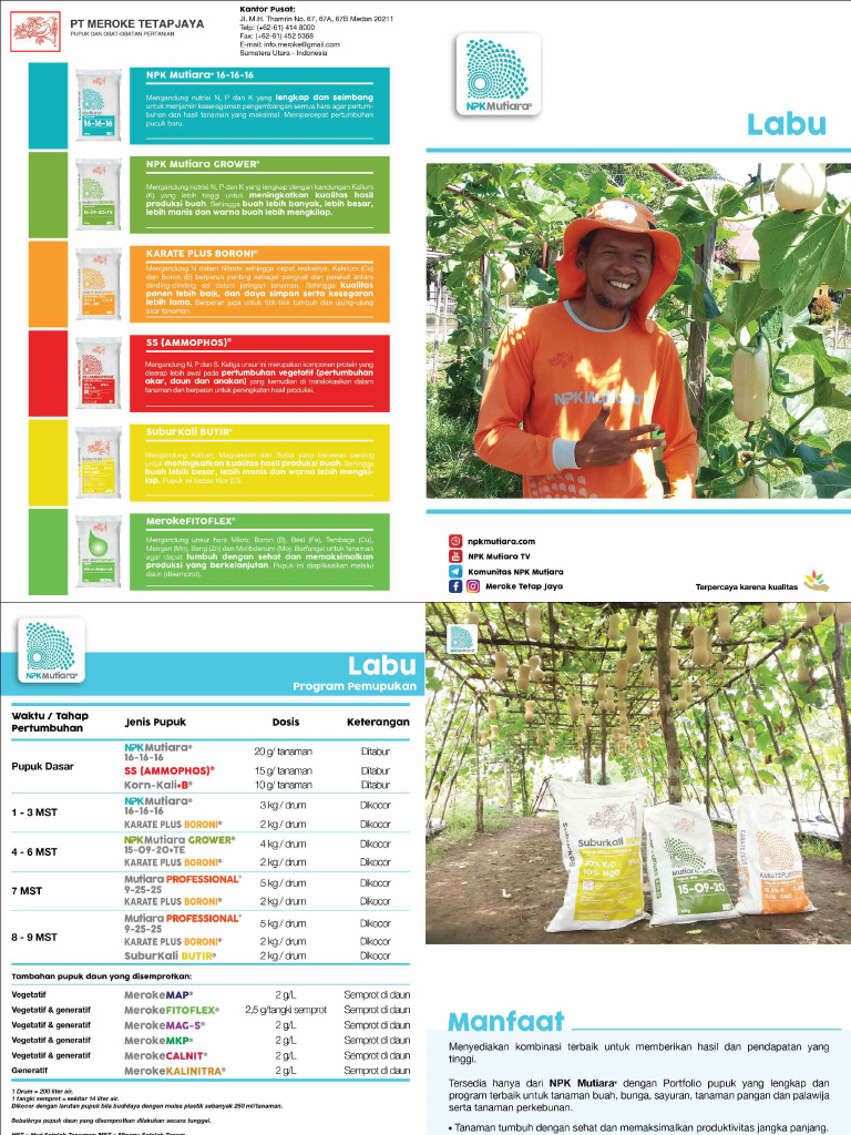 Program Pemupukan Labu | PDF