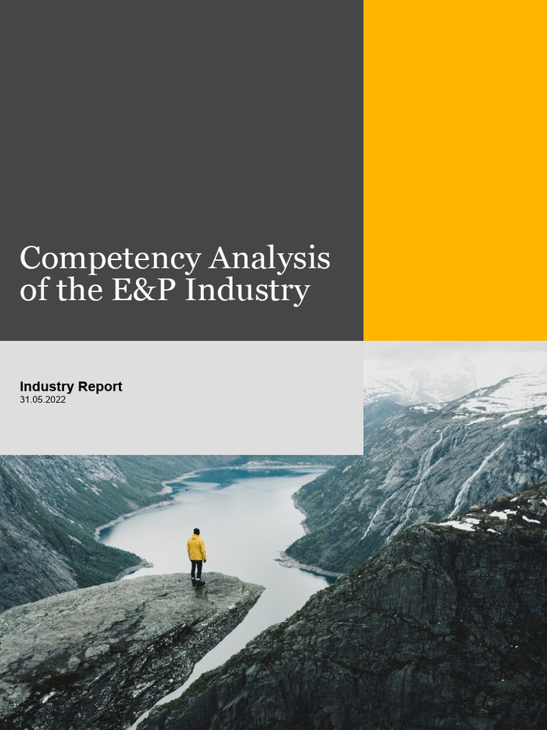 Competency Analysis Industry Report(1) | PDF | Carbon Capture And ...