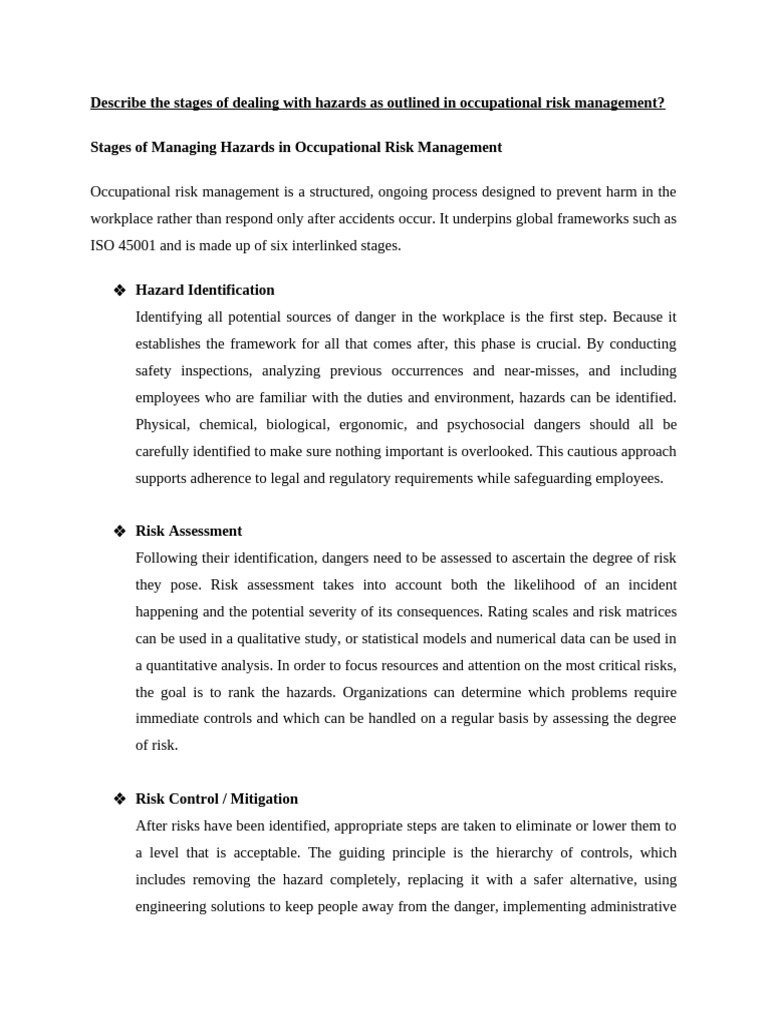 ASSIGNMENT 1 H230467W BRIGHT | PDF | Risk | Risk Management