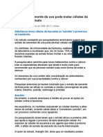 Extrato de Semente de Uva Pode Matar células de câncer, Diz Estudo - Prevenção - Curas Naturais