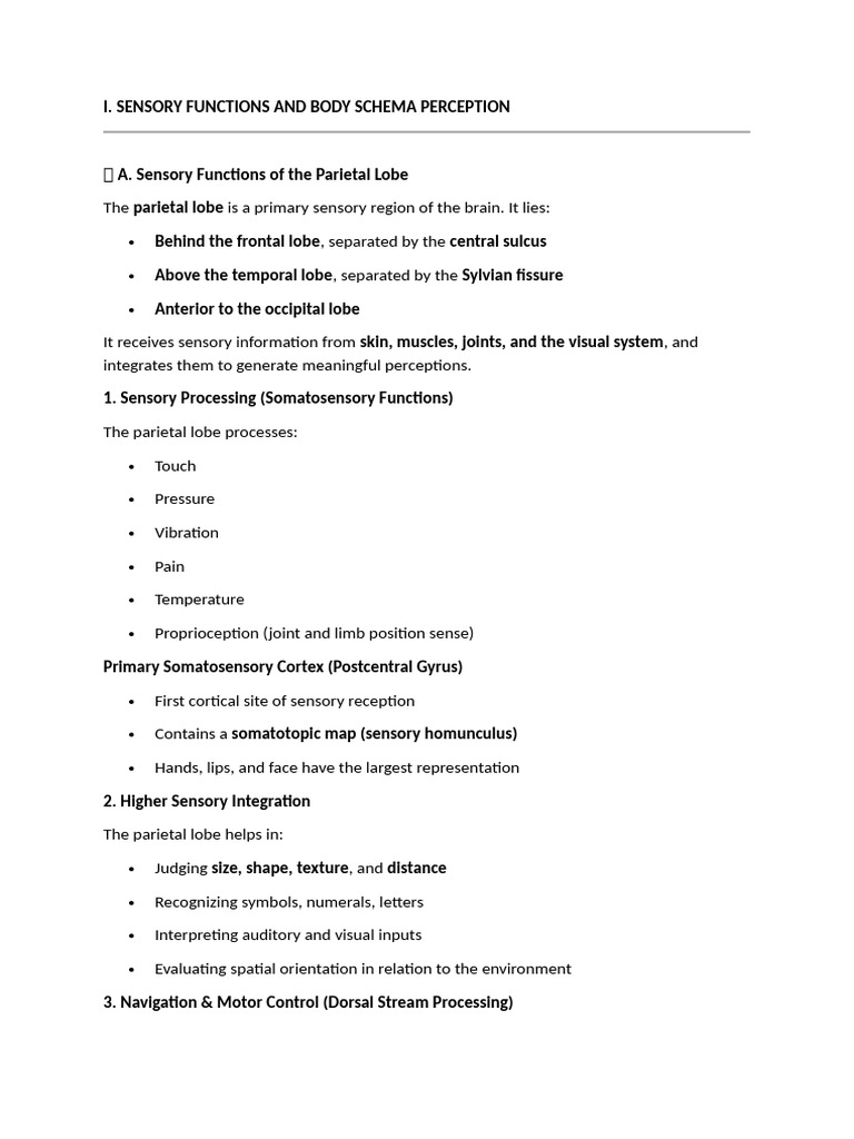 Sensory Functions and Perception Disorders | PDF | Parietal Lobe ...