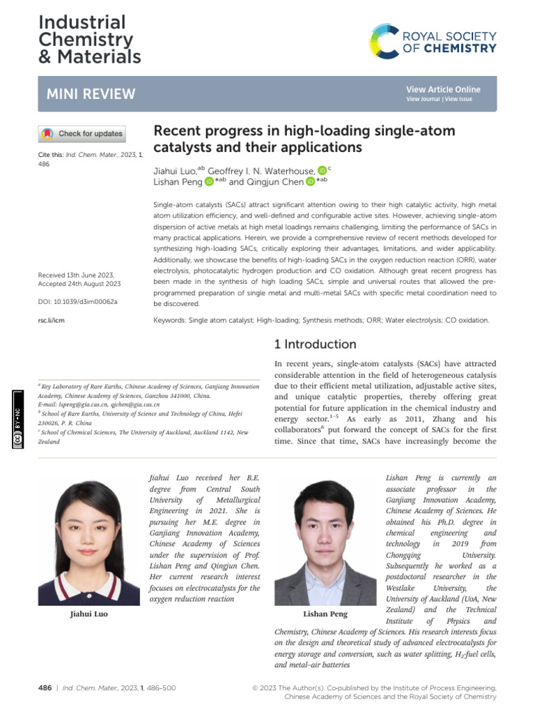 High-Loading Single-Atom Catalysts Review | PDF | Catalysis | Metals