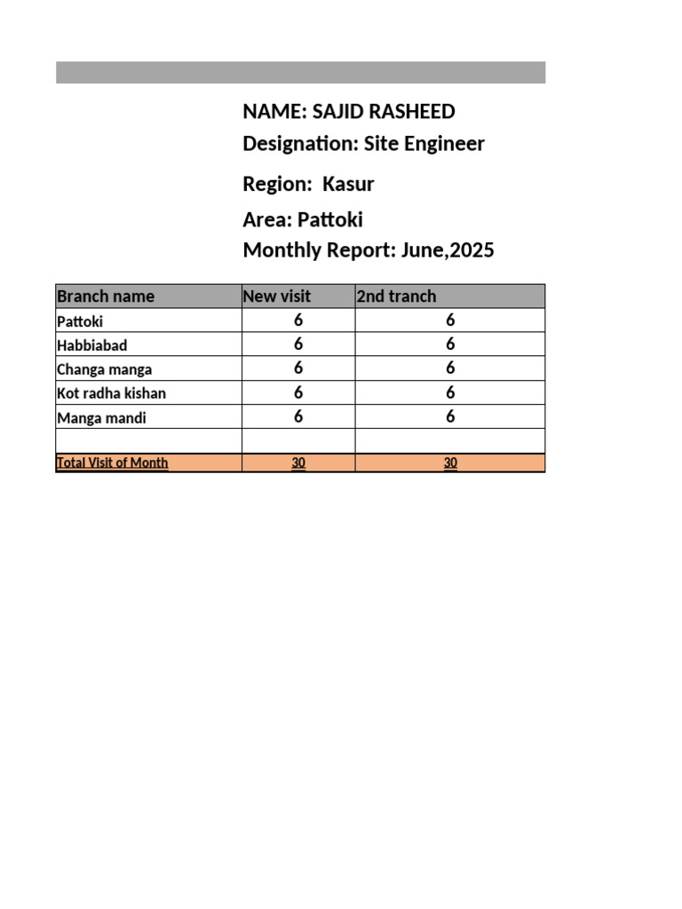 June 2025 Monthly Report: Sajid Rasheed | PDF