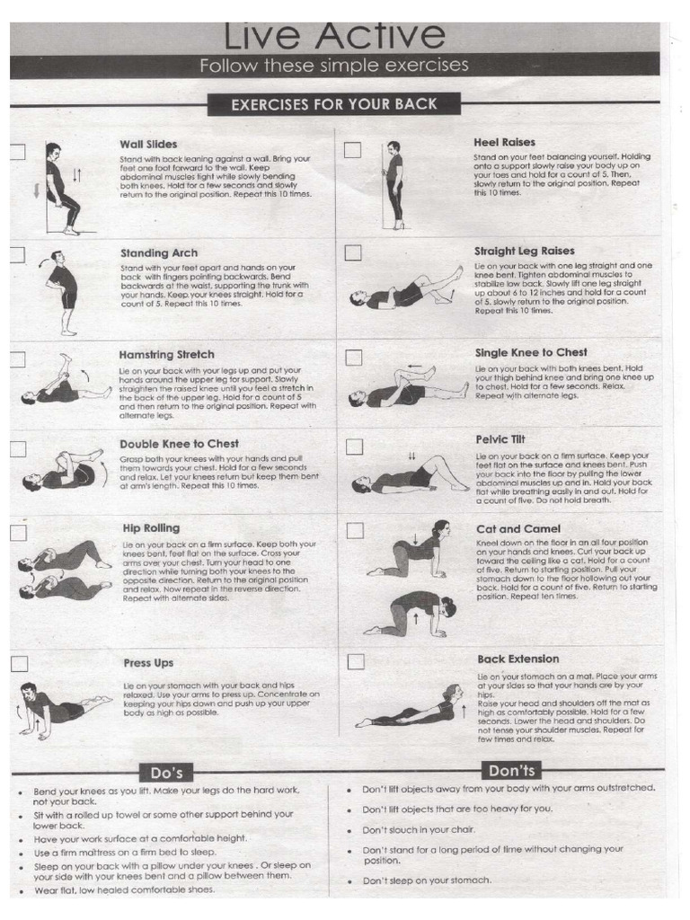 Back Exercise | PDF